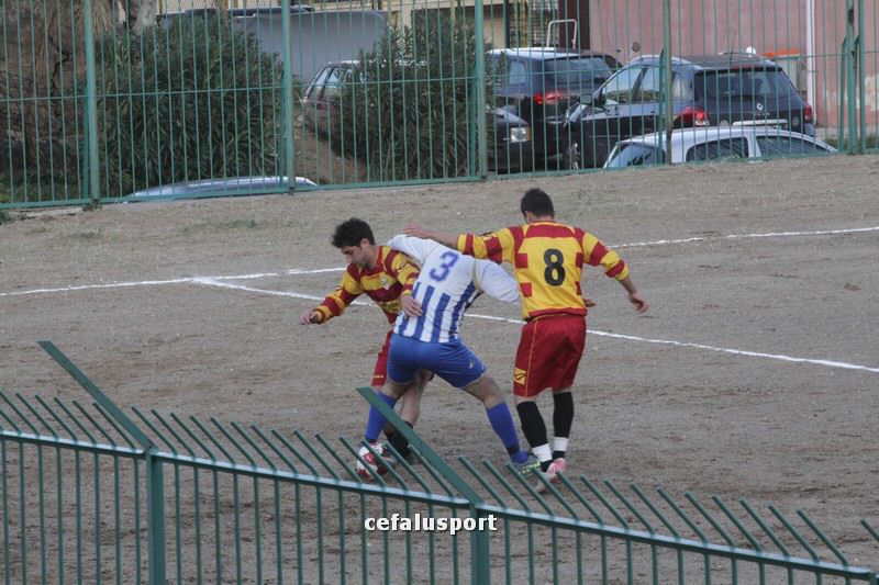 111218 Cerda 073_tn.jpg